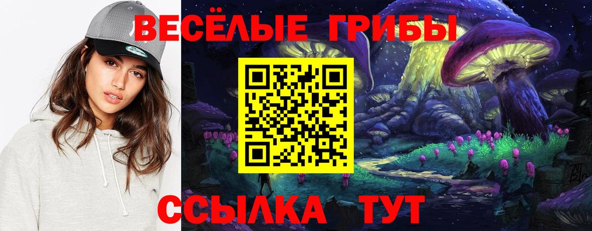 Псилоцибиновые грибы Magic Shrooms  Псилоцибиновые грибы мухоморы  Ростов Великий  Вход с VPN 
