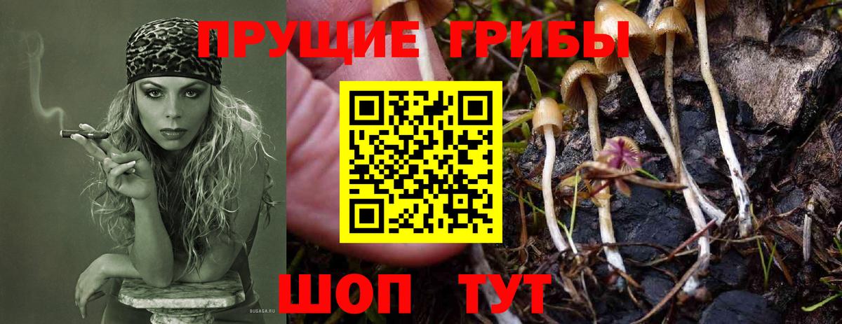 Псилоцибиновые грибы Magic Shrooms Ростов Великий